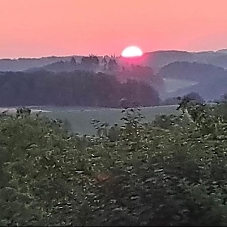 Ferienwohnung Und Monteurwohnung Matthies Naehe Koeln 30Km Kurten Bagian luar foto