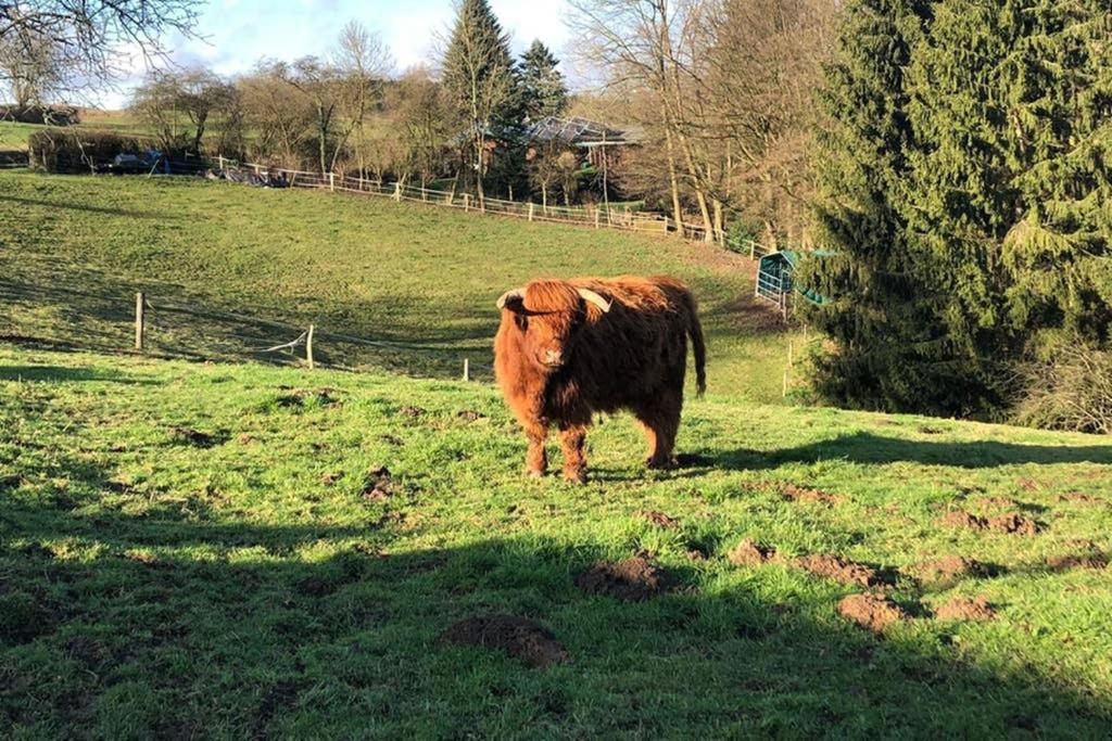 Ferienwohnung Und Monteurwohnung Matthies Naehe Koeln 30Km Kurten Bagian luar foto